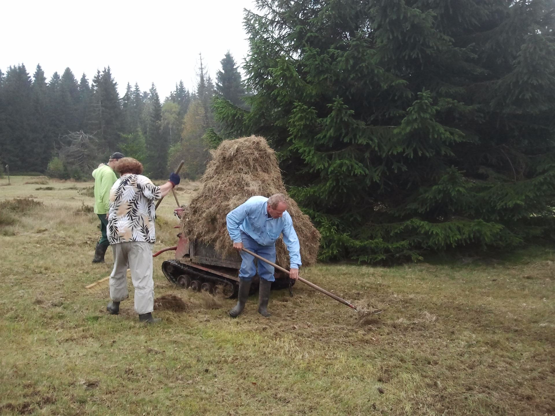 Landschaftspflege im Erzgebirgskreis 2018